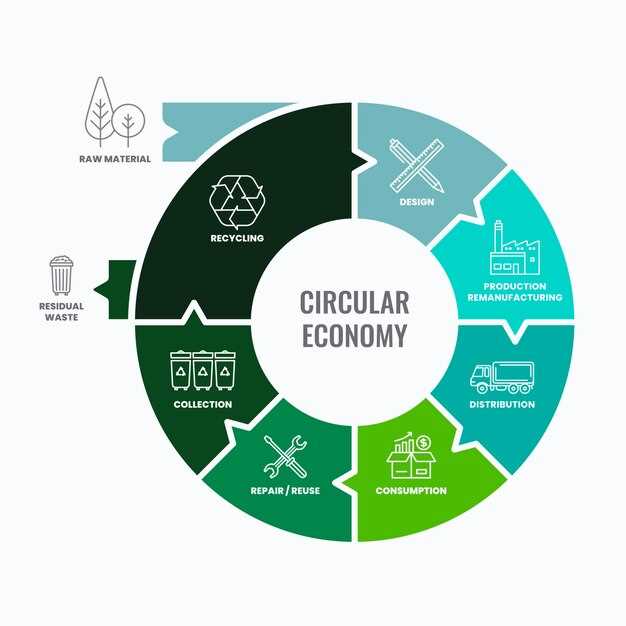 Normas para circular por glorietas y rotondas