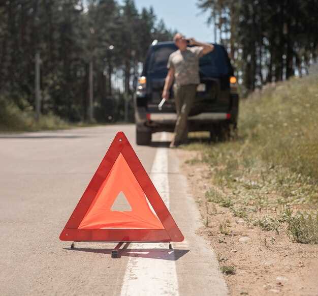 Normas sobre adelantamientos en carretera