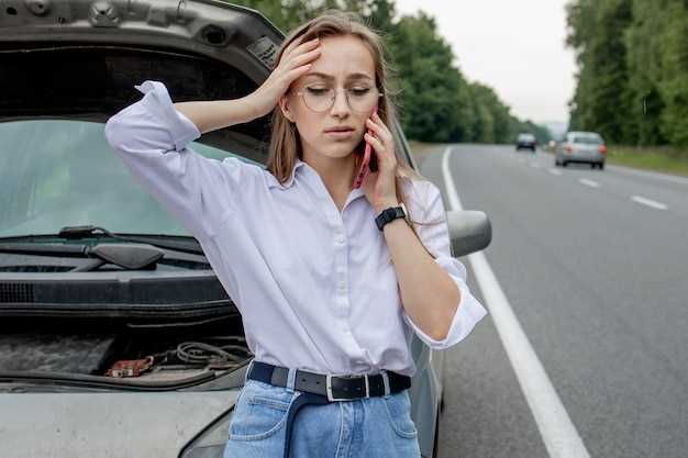 Verificar el suministro de combustible