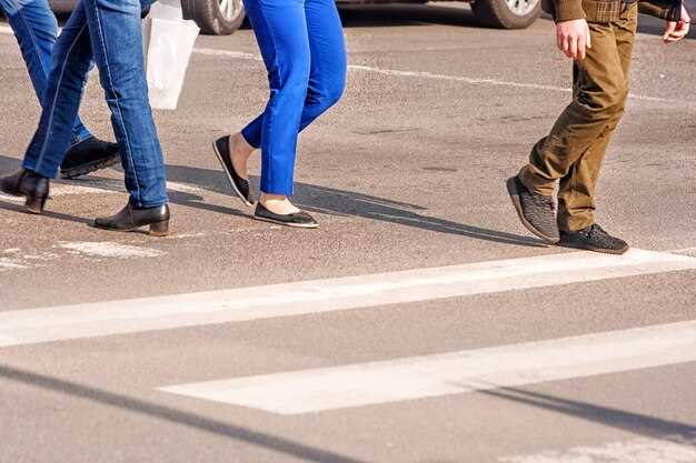 Protocolos de actuación para conductores ante un cruce inesperado